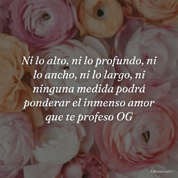 Ni lo alto, ni lo profundo, ni lo ancho, ni lo largo, ni ninguna medida podrá ponderar el inmenso amor que te profeso OG