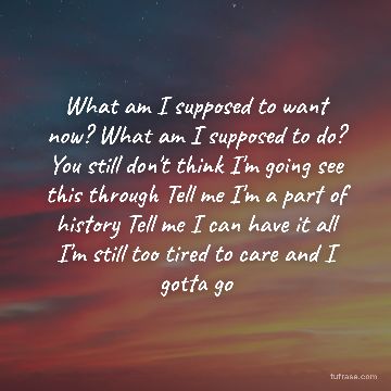 What am I supposed to want now? What am I supposed to do? You still don't think I'm going see this through Tell me I'm a part of history Tell me I can have it all I'm still too tired to care and I gotta go