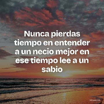Nunca pierdas tiempo en entender a un necio mejor en ese tiempo lee a un sabio