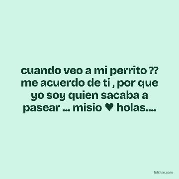cuando veo a mi perrito ?? me acuerdo de ti , por que yo soy quien sacaba a pasear ... misio ♥ holas....