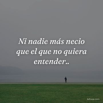 Ni nadie más necio que el que no quiera entender..