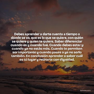 Debes aprender a darte cuenta a tiempo a dónde se va, que es lo que se quiere, con quién se quiere y quien te quiere. Saber diferenciar cuando es y cuando fué. Cuando debes estar y cuando ya no estás más. Cuando te permiten ser importante y cuando pasas a ya no serlo también. En conclusión aprender a saber cuál es tú lugar y retirarte con dignidad.