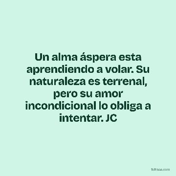 Un alma áspera esta aprendiendo a volar. Su naturaleza es terrenal, pero su amor incondicional lo obliga a intentar. JC