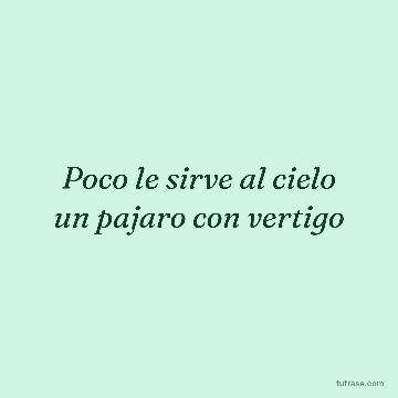 Poco le sirve al cielo un pajaro con vertigo