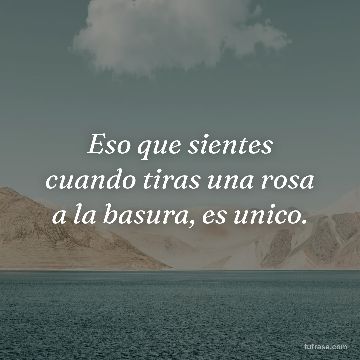 Eso que sientes cuando tiras una rosa a la basura, es unico.