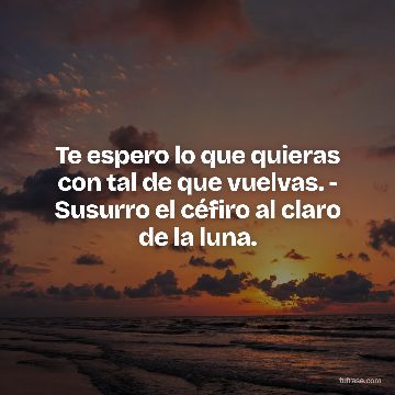 Te espero lo que quieras con tal de que vuelvas. - Susurro el céfiro al claro de la luna.