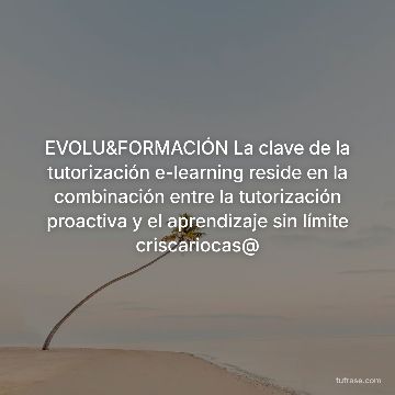 EVOLU&FORMACIÓN La clave de la tutorización e-learning reside en la combinación entre la tutorización proactiva y el aprendizaje sin límite criscariocas@