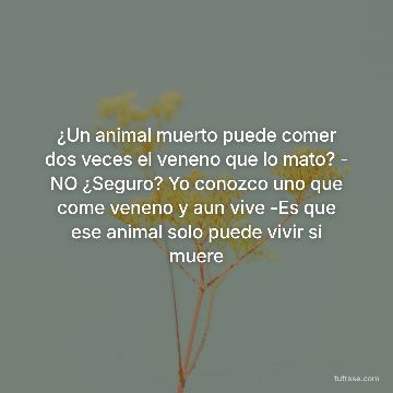 ¿Un animal muerto puede comer dos veces el veneno que lo mato? - NO ¿Seguro? Yo conozco uno que come veneno y aun vive -Es que ese animal solo puede vivir si muere