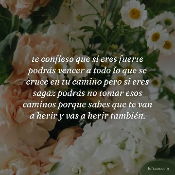 te confieso que si eres fuerte podrás vencer a todo lo que se cruce en tu camino pero si eres sagaz podrás no tomar esos caminos porque sabes que te van a herir y vas a herir también.
