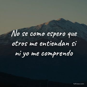 No se como espero que otros me entiendan si ni yo me comprendo