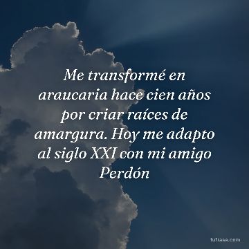 Me transformé en araucaria hace cien años por criar raíces de amargura. Hoy me adapto al siglo XXI con mi amigo Perdón