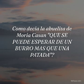 Como decia la abuelita de Moria Casan "QUE SE PUEDE ESPERAR DE UN BURRO MAS QUE UNA PATADA"?