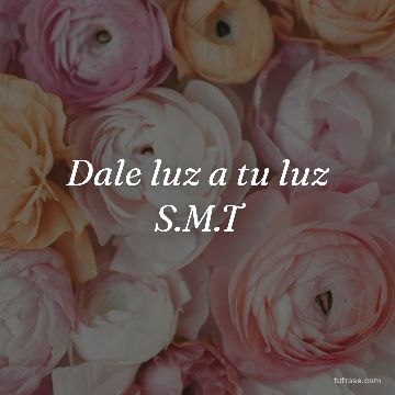 Dale luz a tu luz S.M.T