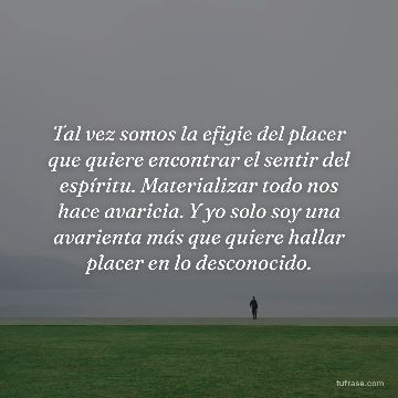 Tal vez somos la efigie del placer que quiere encontrar el sentir del espíritu. Materializar todo nos hace avaricia. Y yo solo soy una avarienta más que quiere hallar placer en lo desconocido.