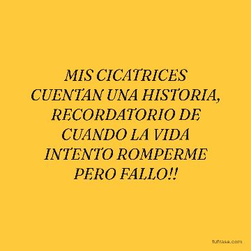 MIS CICATRICES CUENTAN UNA HISTORIA, RECORDATORIO DE CUANDO LA VIDA INTENTO ROMPERME PERO FALLO!!