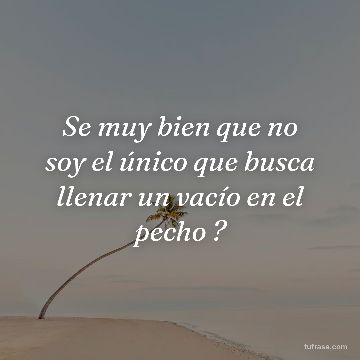 Se muy bien que no soy el único que busca llenar un vacío en el pecho ?