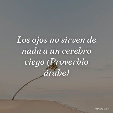 Los ojos no sirven de nada a un cerebro ciego (Proverbio árabe)