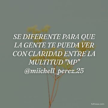 SE DIFERENTE PARA QUE LA GENTE TE PUEDA VER CON CLARIDAD ENTRE LA MULTITUD "MP" @miichell_perez.25