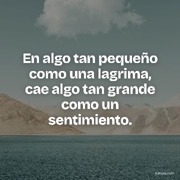 En algo tan pequeño como una lagrima, cae algo tan grande como un sentimiento.