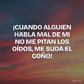 ¡CUANDO ALGUIEN HABLA MAL DE MI NO ME PITAN LOS OÍDOS, ME SUDA EL COÑO!