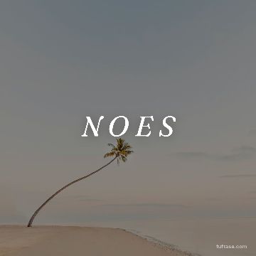 N O E S