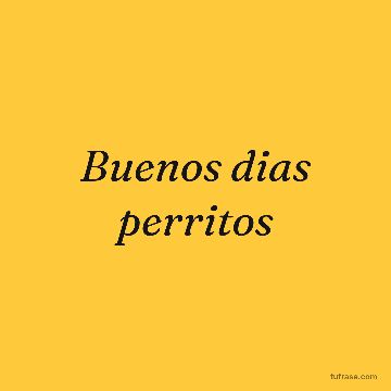 Buenos dias perritos