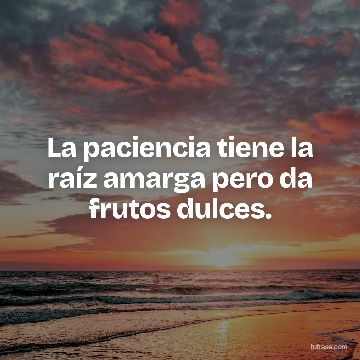 La paciencia tiene la raíz amarga pero da frutos dulces.