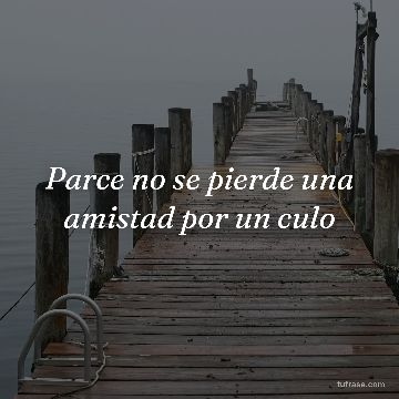Parce no se pierde una amistad por un culo