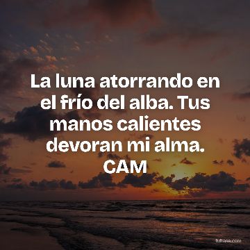 La luna atorrando en el frío del alba. Tus manos calientes devoran mi alma. CAM
