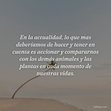 En la actualidad, lo que mas deberíamos de hacer y tener en cuenta es accionar y compararnos con los demás animales y las plantas en cada momento de nuestras vidas.