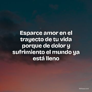 Esparce amor en el trayecto de tu vida porque de dolor y sufrimiento el mundo ya está lleno