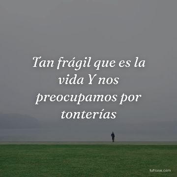 Tan frágil que es la vida Y nos preocupamos por tonterías