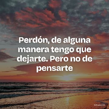 Perdón, de alguna manera tengo que dejarte. Pero no de pensarte