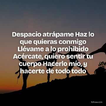 Despacio atrápame Haz lo que quieras conmigo Llévame a lo prohibido Acércate, quiero sentir tu cuerpo Hacerlo mío, y hacerte de todo todo