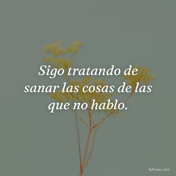 Sigo tratando de sanar las cosas de las que no hablo.