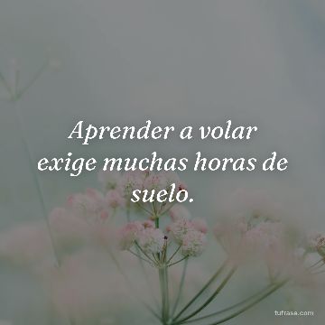 Aprender a volar exige muchas horas de suelo.
