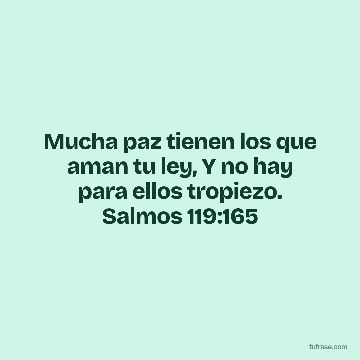Mucha paz tienen los que aman tu ley, Y no hay para ellos tropiezo. Salmos 119:165