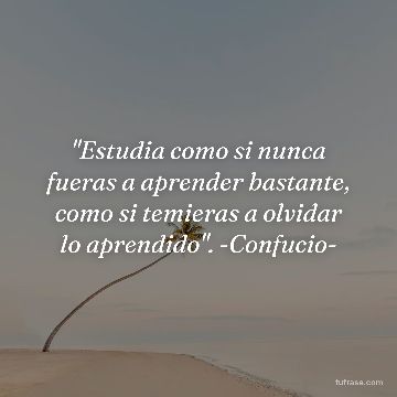 "Estudia como si nunca fueras a aprender bastante, como si temieras a olvidar lo aprendido". -Confucio-