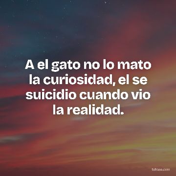 A el gato no lo mato la curiosidad, el se suicidio cuando vio la realidad.