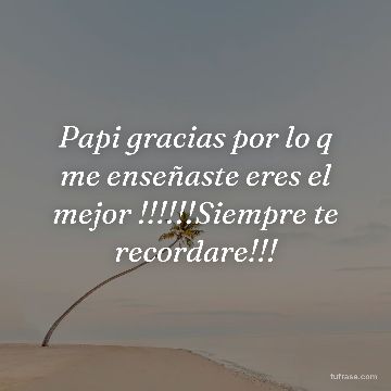 Papi gracias por lo q me enseñaste eres el mejor !!!!!!Siempre te recordare!!!