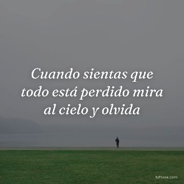 Cuando sientas que todo está perdido mira al cielo y olvida