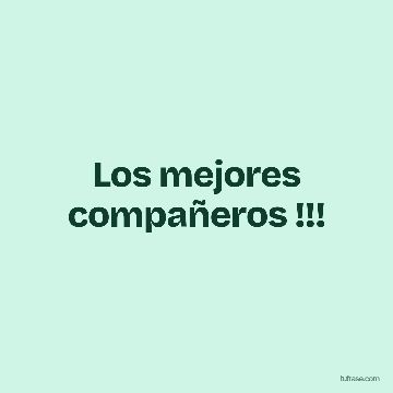 Los mejores compañeros !!!