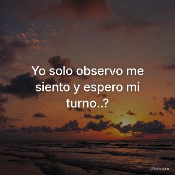 Yo solo observo me siento y espero mi turno..?