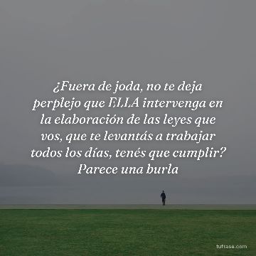 ¿Fuera de joda, no te deja perplejo que ELLA intervenga en la elaboración de las leyes que vos, que te levantás a trabajar todos los días, tenés que cumplir? Parece una burla