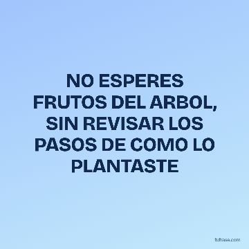 NO ESPERES FRUTOS DEL ARBOL, SIN REVISAR LOS PASOS DE COMO LO PLANTASTE