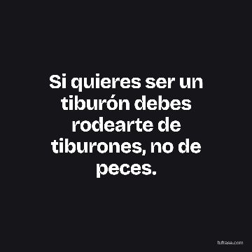 Si quieres ser un tiburón debes rodearte de tiburones, no de peces.