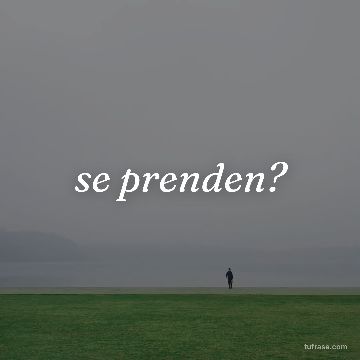 se prenden?