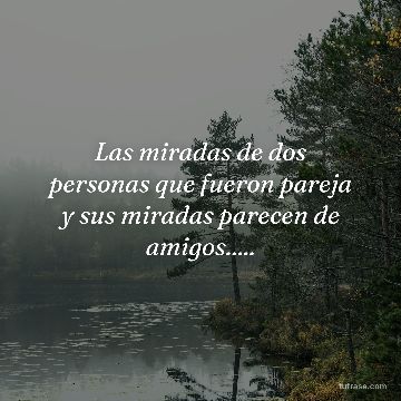 Las miradas de dos personas que fueron pareja y sus miradas parecen de amigos.....