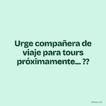 Urge compañera de viaje para tours próximamente... ??