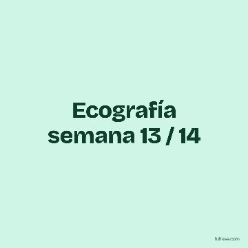 Ecografía semana 13 / 14